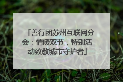 善行团苏州互联网分会：情暖双节，特别活动致敬城市守护者