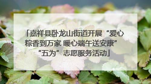 嘉祥县卧龙山街道开展“爱心粽香到万家 暖心端午送安康” “五为”志愿服务活动