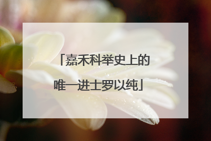 嘉禾科举史上的唯一进士罗以纯