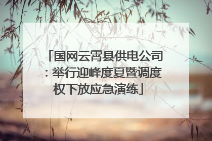 国网云霄县供电公司：举行迎峰度夏暨调度权下放应急演练