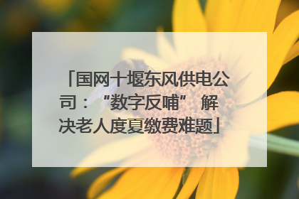 国网十堰东风供电公司：“数字反哺” 解决老人度夏缴费难题