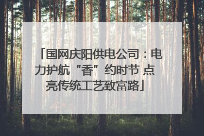国网庆阳供电公司：电力护航“香”约时节 点亮传统工艺致富路
