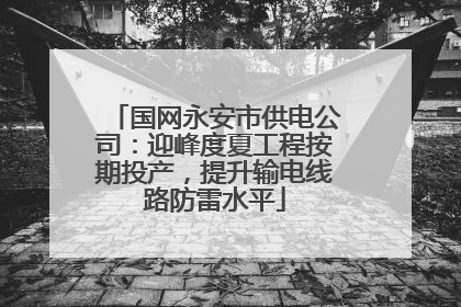 国网永安市供电公司：迎峰度夏工程按期投产，提升输电线路防雷水平