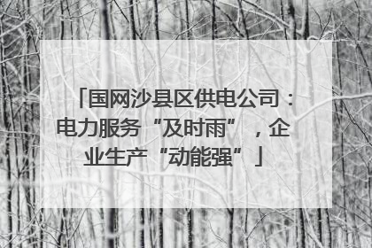 国网沙县区供电公司：电力服务“及时雨”，企业生产“动能强”
