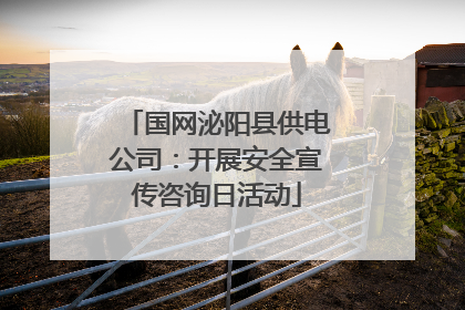 国网泌阳县供电公司：开展安全宣传咨询日活动