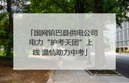 国网镇巴县供电公司 电力“护考天团”上线 温情助力中考