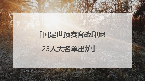 国足世预赛客战印尼25人大名单出炉