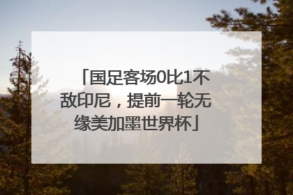 国足客场0比1不敌印尼，提前一轮无缘美加墨世界杯