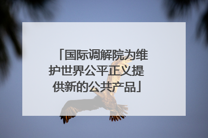 国际调解院为维护世界公平正义提供新的公共产品
