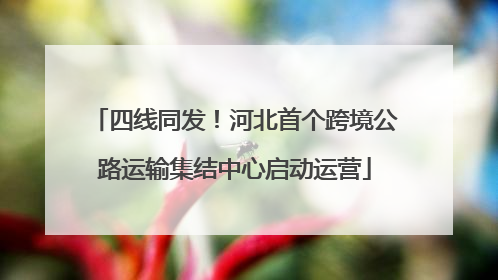 四线同发！河北首个跨境公路运输集结中心启动运营