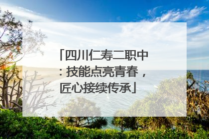 四川仁寿二职中：技能点亮青春，匠心接续传承
