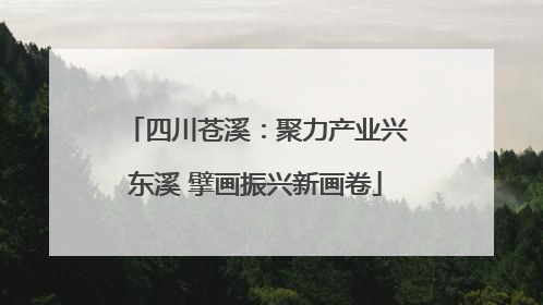 四川苍溪：聚力产业兴东溪 擘画振兴新画卷