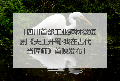 四川首部工业题材微短剧《天工开蜀·我在古代当匠师》首映发布