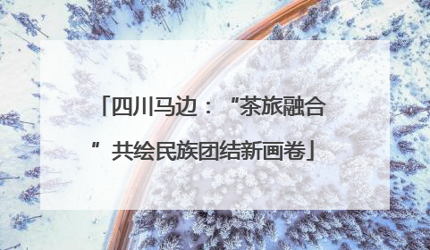 四川马边：“茶旅融合”共绘民族团结新画卷