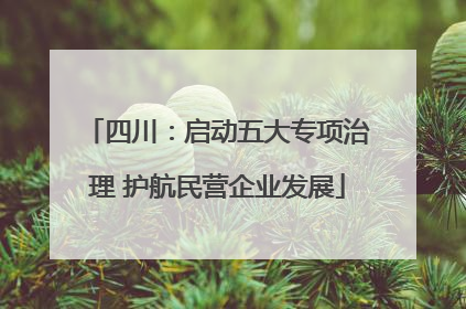 四川：启动五大专项治理 护航民营企业发展