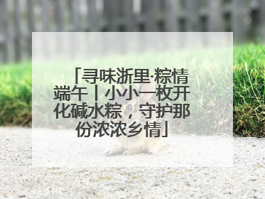 寻味浙里·粽情端午丨小小一枚开化碱水粽，守护那份浓浓乡情
