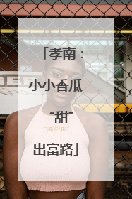 孝南：小小香瓜 “甜”出富路