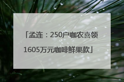 孟连：250户咖农喜领1605万元咖啡鲜果款