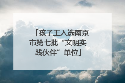 孩子王入选南京市第七批“文明实践伙伴”单位