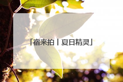 宿来拍丨夏日精灵