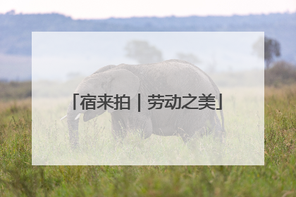 宿来拍｜劳动之美