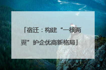宿迁：构建“一核两翼”护企优商新格局