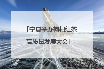 宁夏举办枸杞红茶高质量发展大会