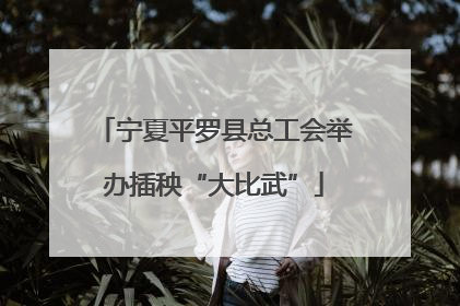 宁夏平罗县总工会举办插秧“大比武”