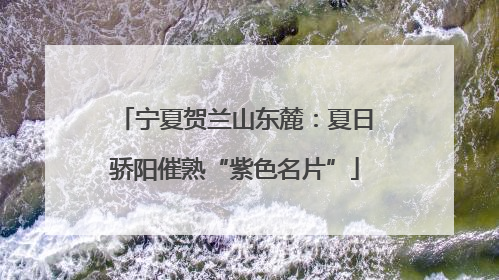 宁夏贺兰山东麓：夏日骄阳催熟“紫色名片”