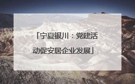 宁夏银川：党建活动促安居企业发展