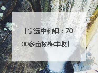 宁远中和镇：7000多亩杨梅丰收