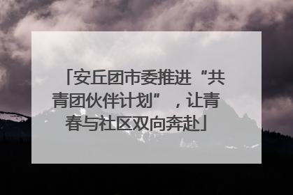 安丘团市委推进“共青团伙伴计划”，让青春与社区双向奔赴