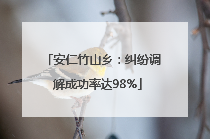 安仁竹山乡：纠纷调解成功率达98%