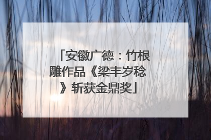 安徽广德：竹根雕作品《梁丰岁稔》斩获金鼎奖