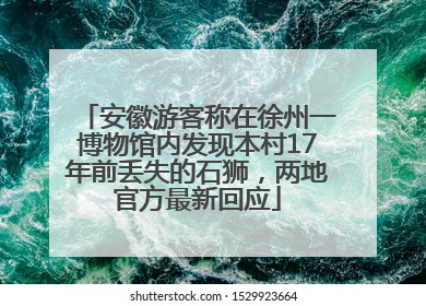 安徽游客称在徐州一博物馆内发现本村17年前丢失的石狮，两地官方最新回应