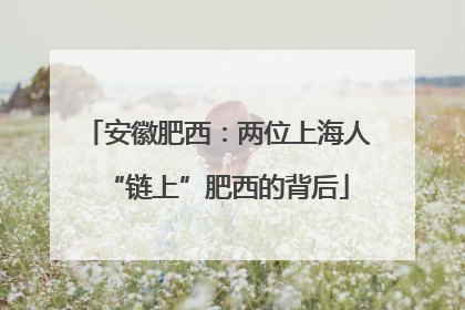 安徽肥西：两位上海人“链上”肥西的背后