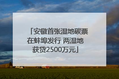 安徽首张湿地碳票在蚌埠发行 两湿地获贷2500万元
