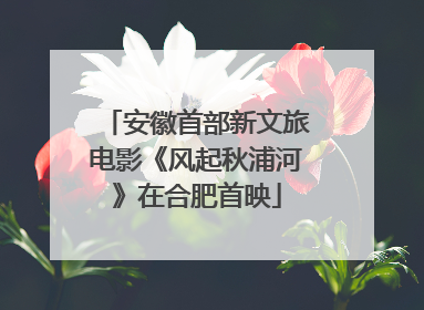 安徽首部新文旅电影《风起秋浦河》在合肥首映