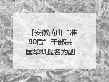 安徽黄山“准90后”干部洪国华拟提名为副区县长人选