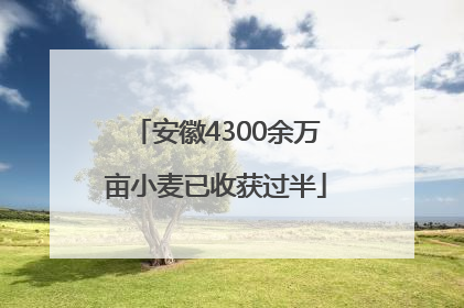 安徽4300余万亩小麦已收获过半