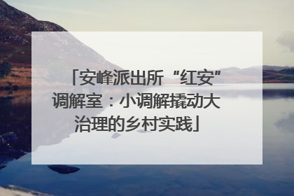 安峰派出所“红安”调解室：小调解撬动大治理的乡村实践
