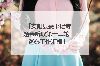 安阳县委书记专题会听取第十二轮巡察工作汇报