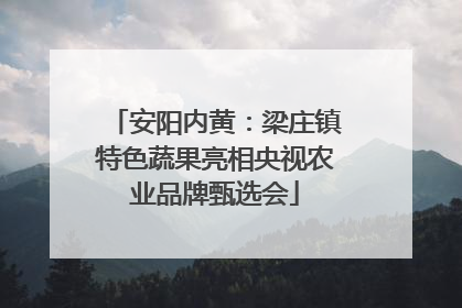 安阳内黄：梁庄镇特色蔬果亮相央视农业品牌甄选会