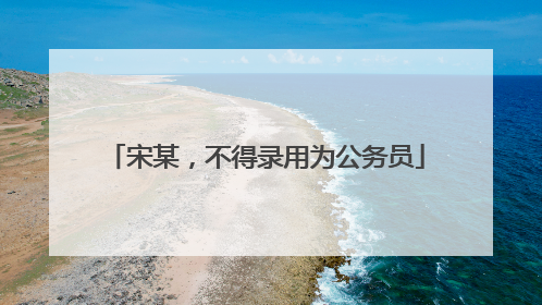 宋某，不得录用为公务员