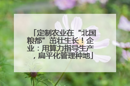 定制农业在“北国粮都”茁壮生长！企业：用算力指导生产，扁平化管理种地