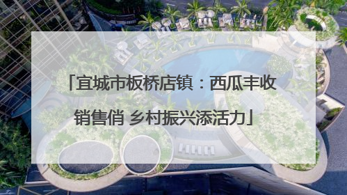 宜城市板桥店镇：西瓜丰收销售俏 乡村振兴添活力