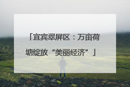 宜宾翠屏区：万亩荷塘绽放“美丽经济”