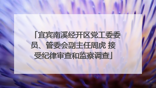 宜宾南溪经开区党工委委员、管委会副主任周虎 接受纪律审查和监察调查