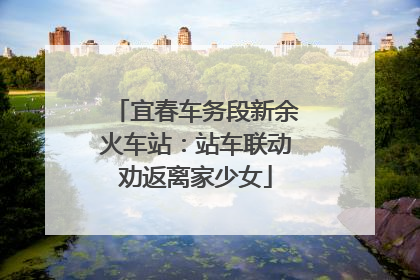 宜春车务段新余火车站：站车联动劝返离家少女