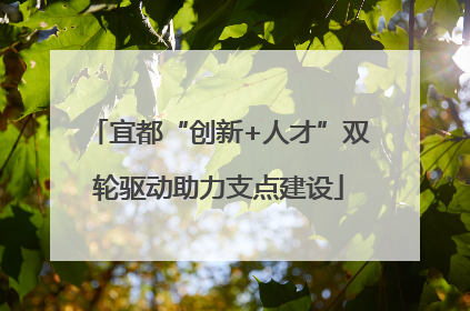 宜都“创新+人才”双轮驱动助力支点建设